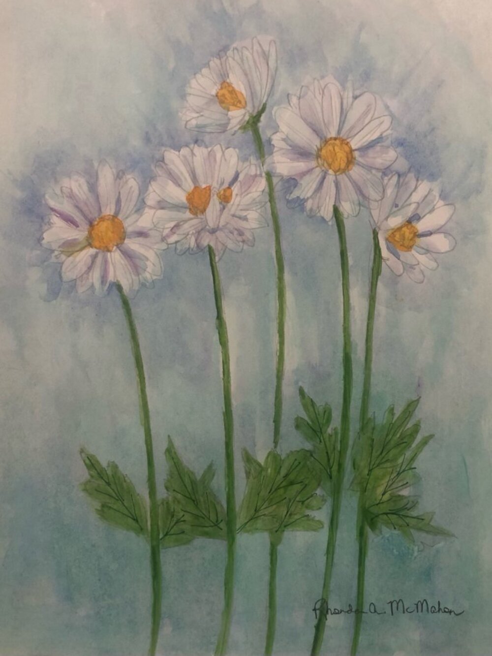 Daisies in the Garden Watercolor Painting